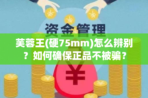 芙蓉王(硬75mm)怎么辨别？如何确保正品不被骗？